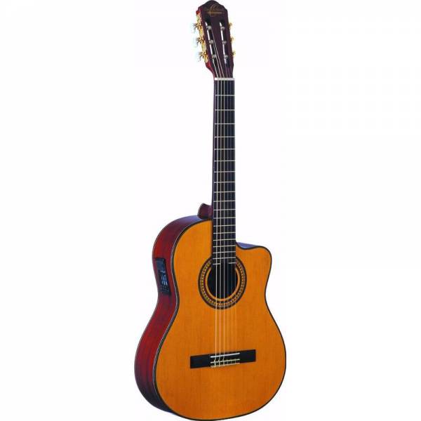 Guitarra Electroacústica Oscar Schmidt OC11CE - Image 2