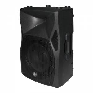 Parlante Amplificado Topp Pro FORZA15A