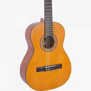 Guitarra Acústica  Valencia VC203