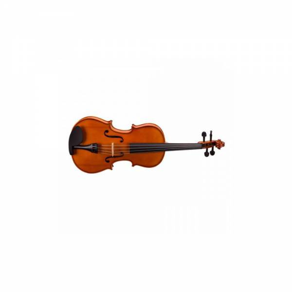 Viola de 4/4 Valencia VA16044