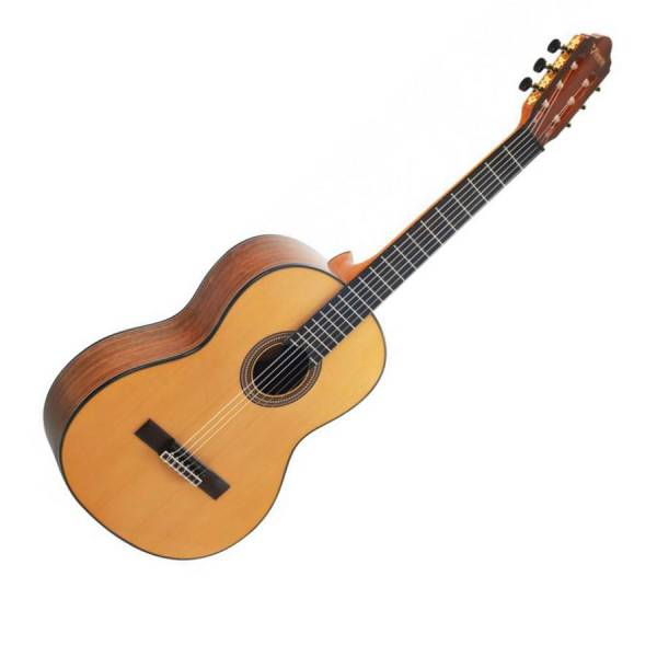 Guitarra Acústica Valencia VC564 - Image 2