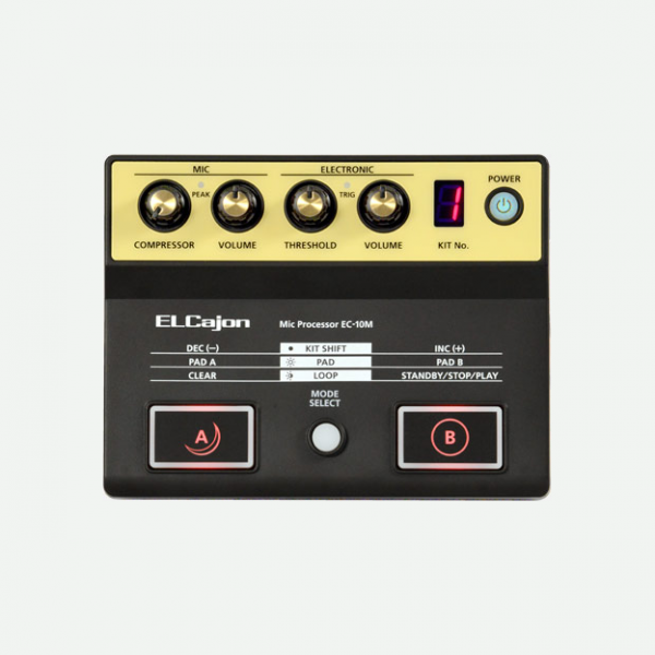 Micrófono Procesador El Cajón Roland EC-10M
