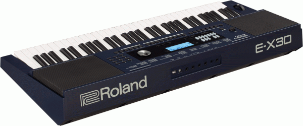 Teclado Arreglista Roland E-X30 - Image 2