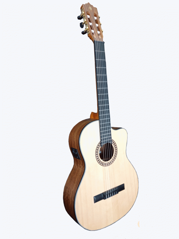 Guitarra Electroacústica Palmer NUBIACEQ