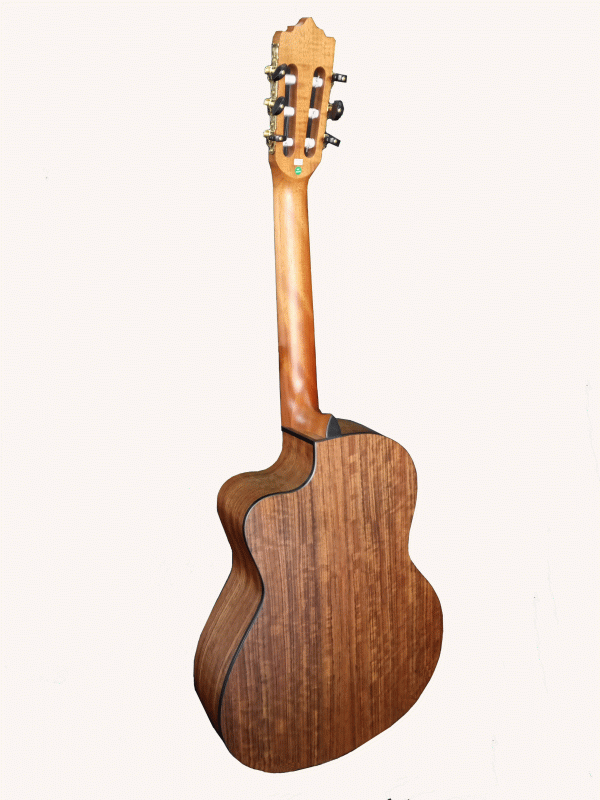 Guitarra Electroacústica Palmer NUBIACEQ - Image 3