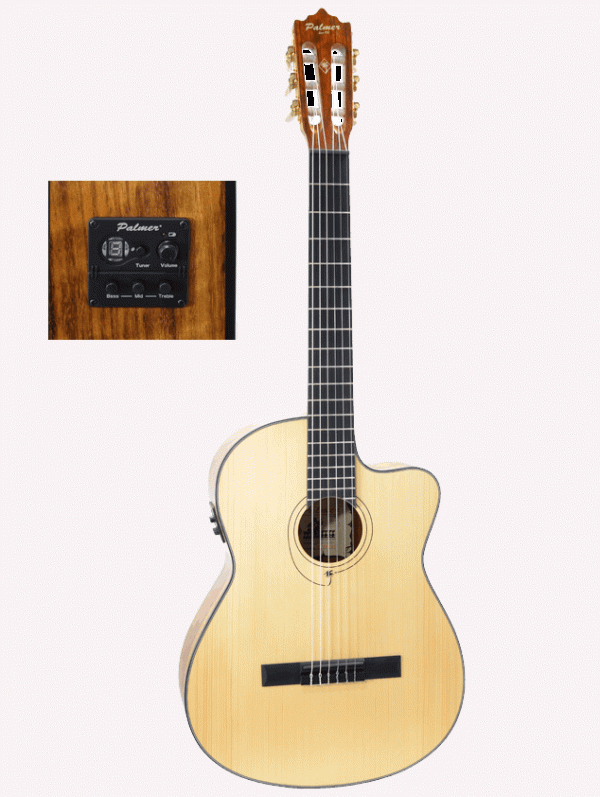 Guitarra Electroacústica Palmer NUBIACEQ - Image 2