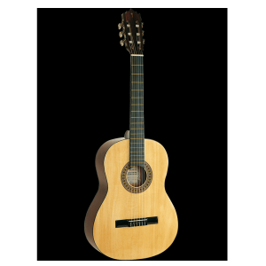 Guitarra Acústica Palmer PC13LB