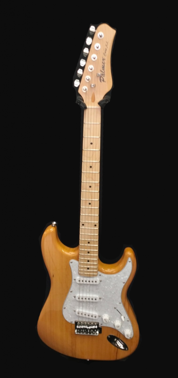 Guitarra Eléctrica Palmer PE CORE XL N - Image 3
