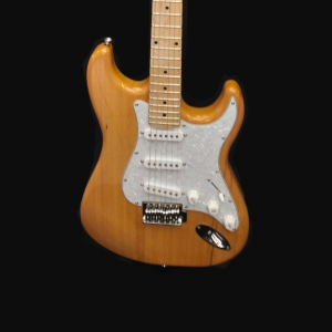 Guitarra Eléctrica Palmer PE CORE XL N