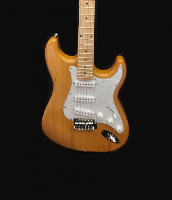 Guitarra Eléctrica Palmer PE CORE XL N