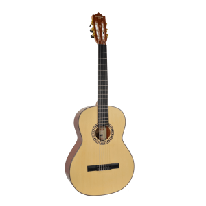 Guitarra Acústica Palmer TANIS-N