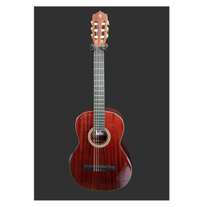 Guitarra Acústica Palmer PC16CH