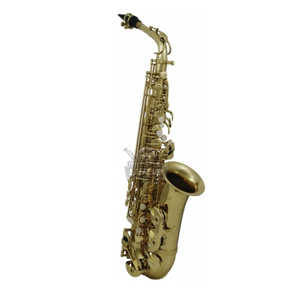 Saxofón Alto EB Roy Benson AS-202 - Image 2