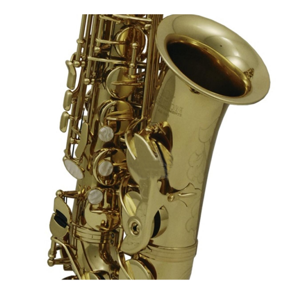 Saxofón Alto EB Roy Benson AS-202 - Image 3