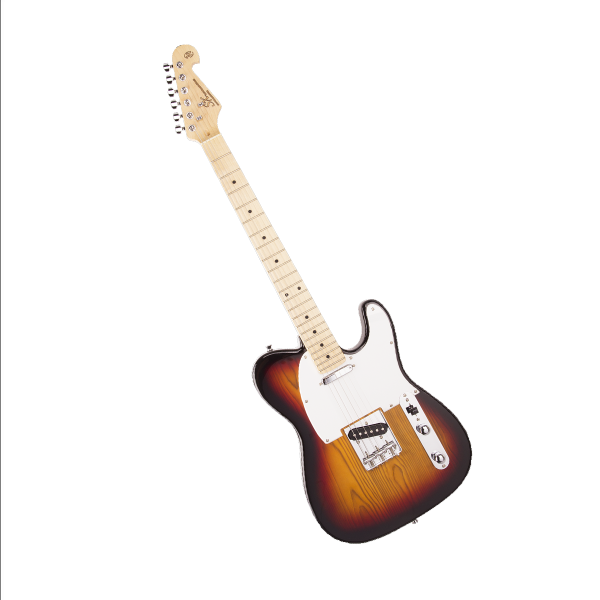 Guitarra Eléctrica SK en Combo SE2SK3TS - Image 2